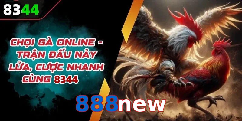 Đá gà 888new có rất nhiều ưu điểm vượt trội so với sân chơi khác